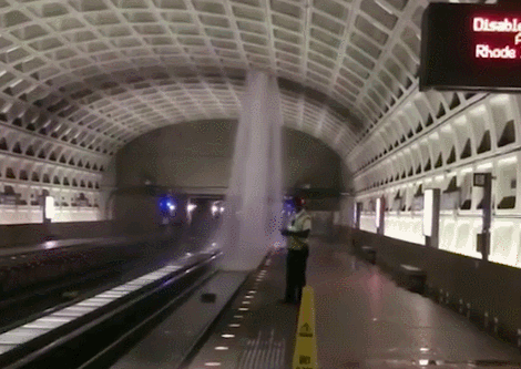 白宮都漏水了，你還能不重視防水！